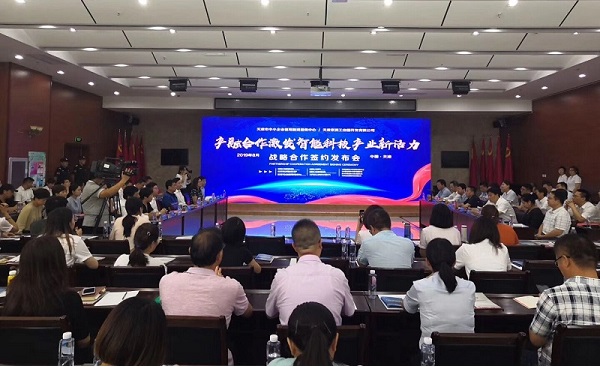 米兰online（中国）科技喜获千万级担保授信